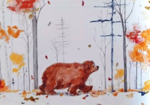 绘本欣赏 | 忙着过冬的动物们《Bear Has a Story to Tell》